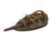 Годівниця Carp Pro Sense Method Feeder M 50г