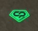 CARP PRO DIAMOND Сумка-чохол для крісел